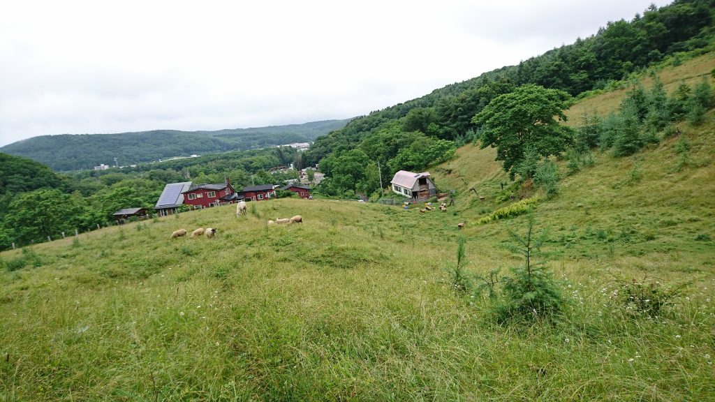 This image has an empty alt attribute; its file name is DSC_0575-1024x576.jpg